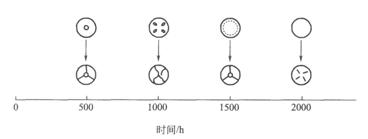 图5钢丸密度与寿命的关系